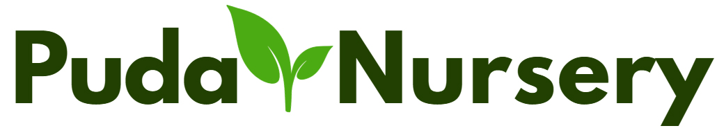 Puda Nursery